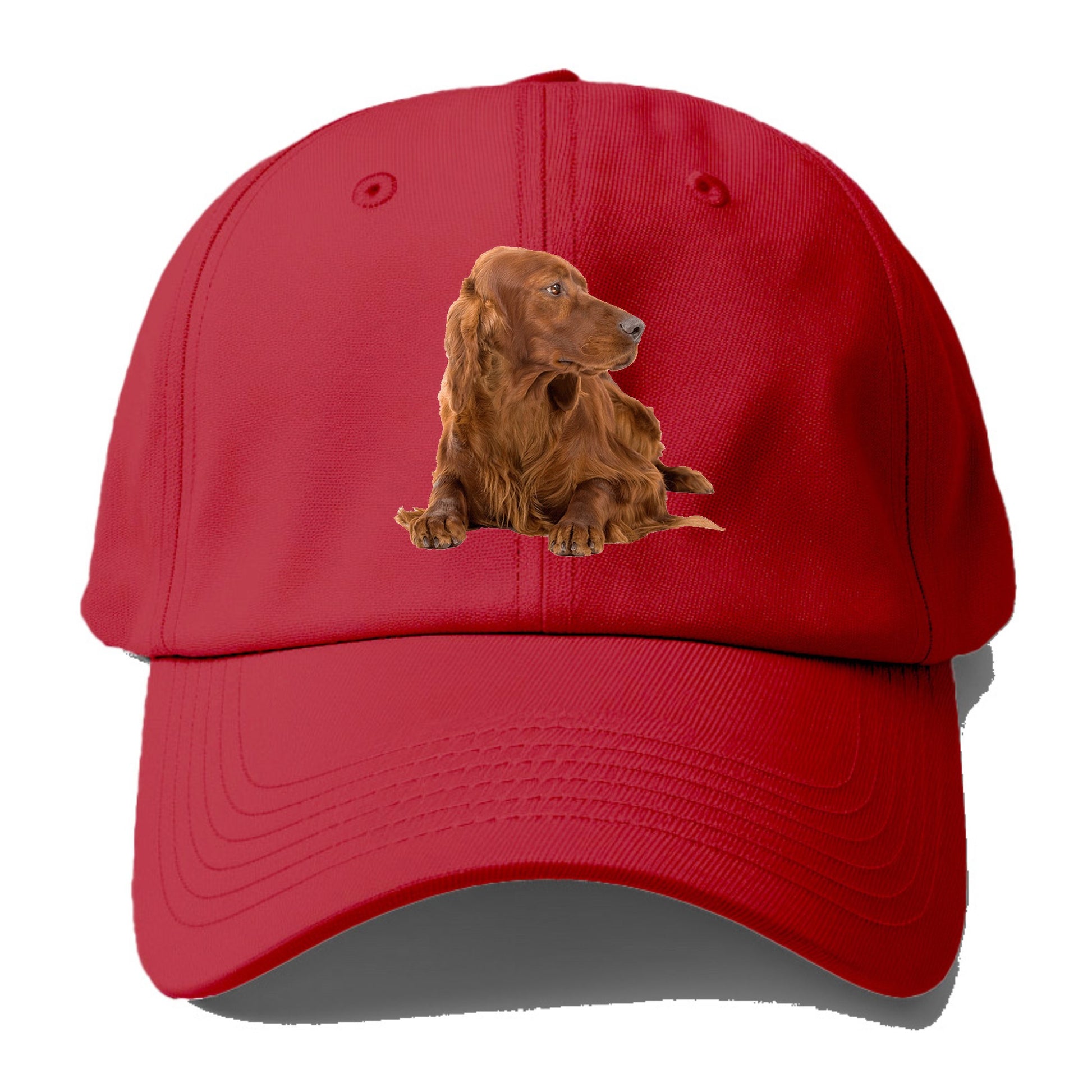 Irish Setter Hat