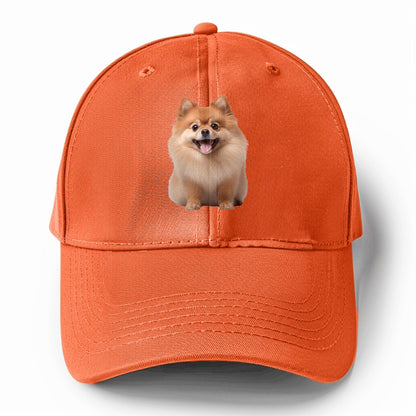 Delighted Pomeranian  Hat