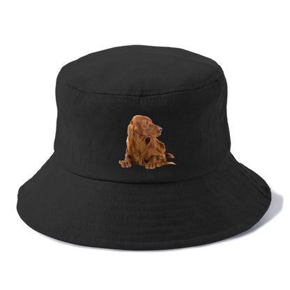 Irish Setter Hat