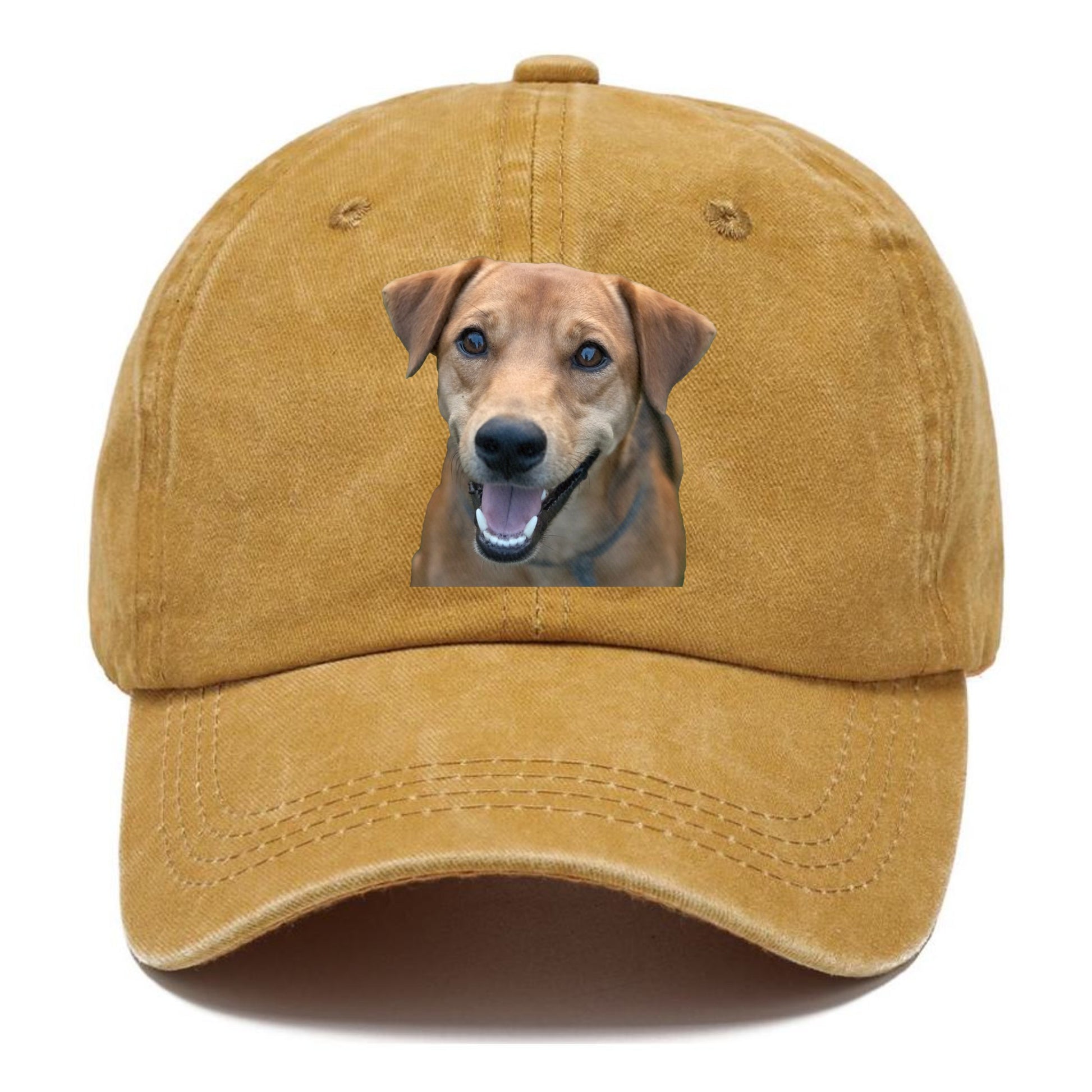 Labrador Hat