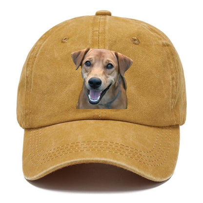 Labrador Hat