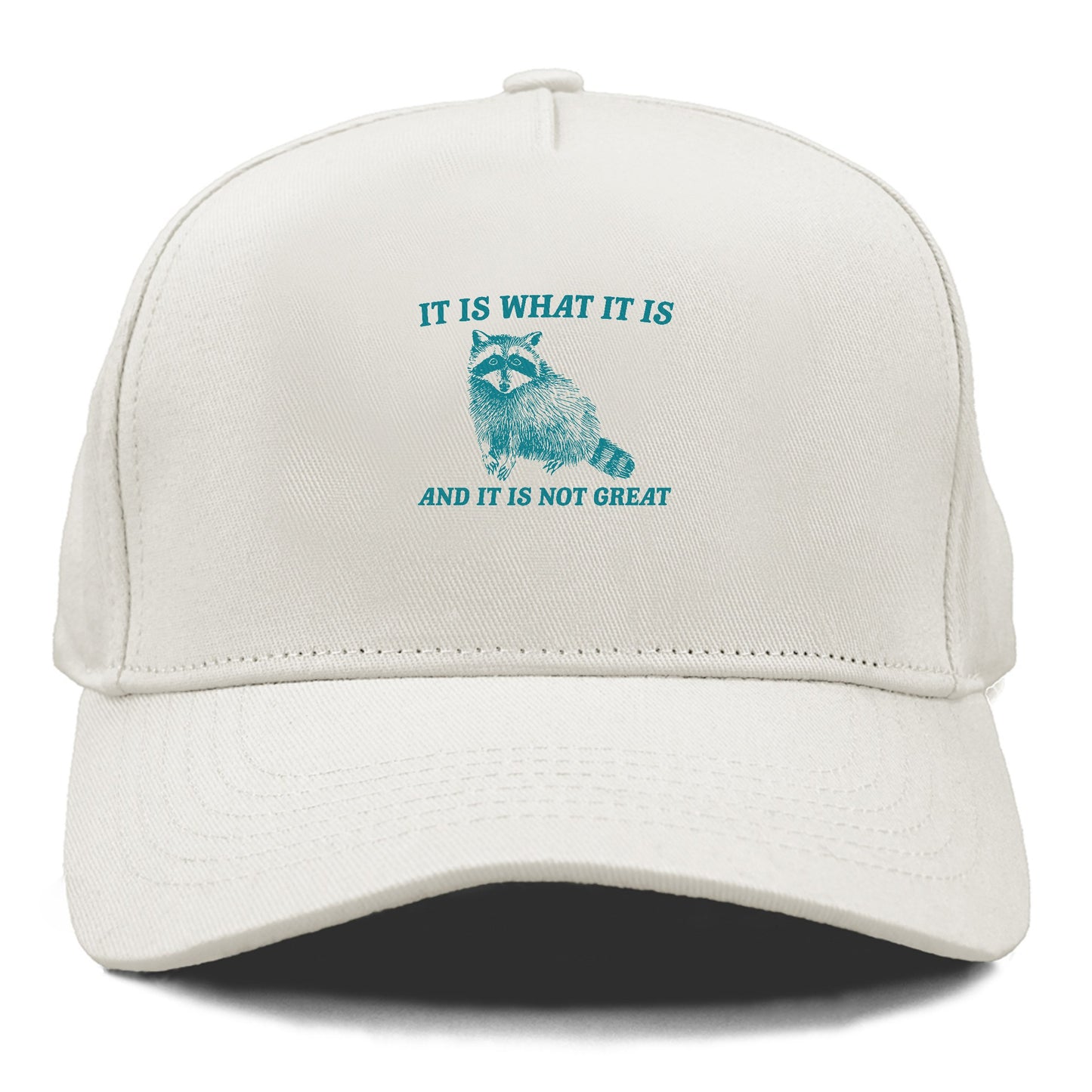 it is what it is Hat