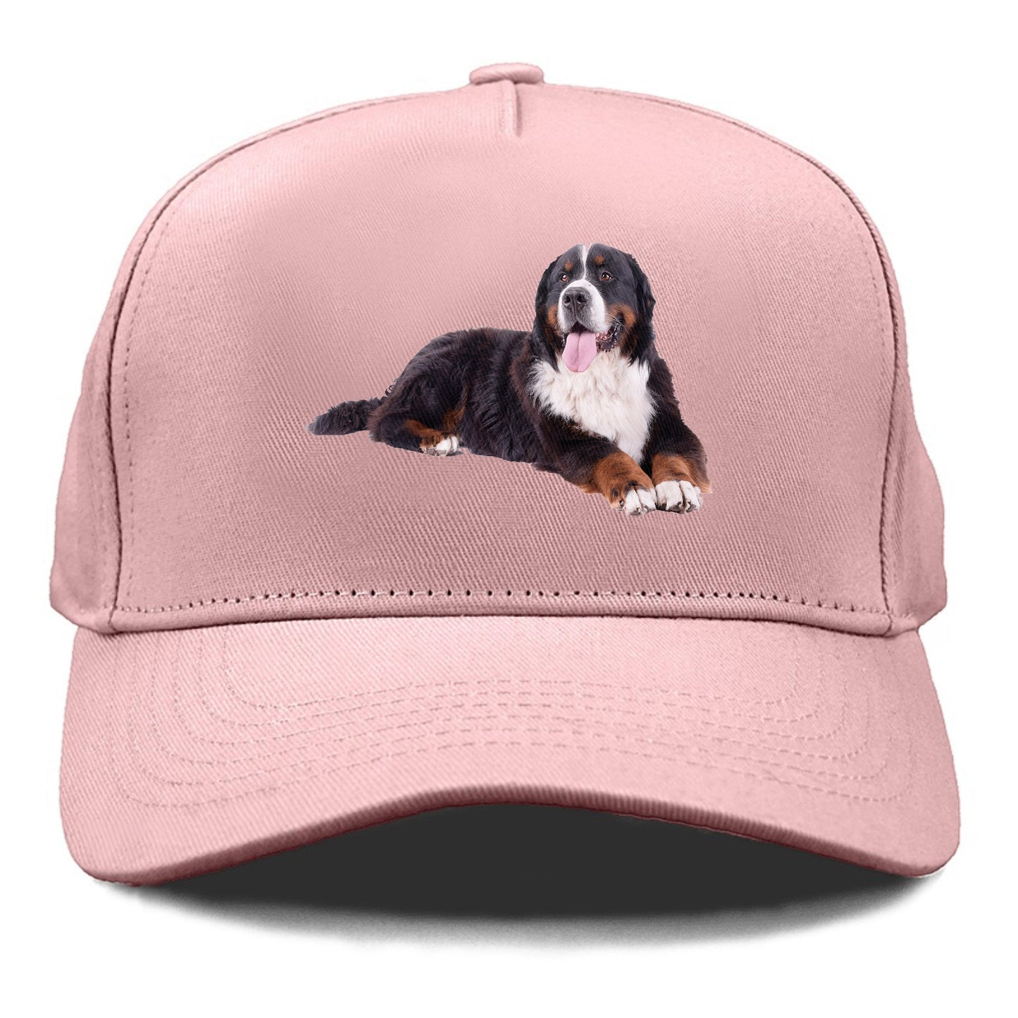 bernese mountain dog Hat