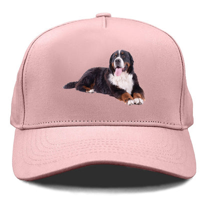 bernese mountain dog Hat