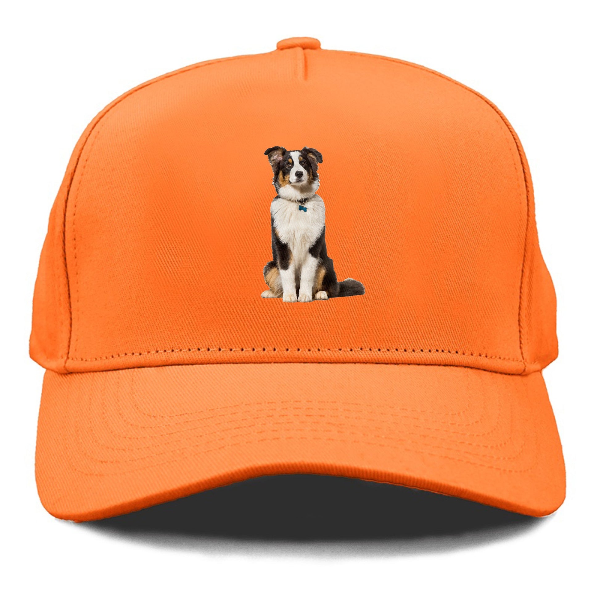 Attentive Australian Shepherd sitting upright Hat