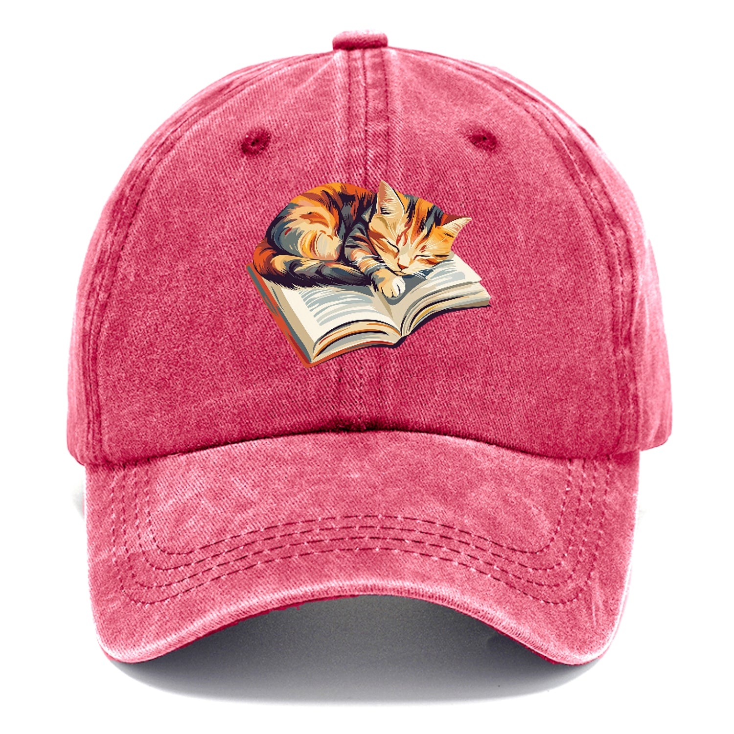 Cat Nap on Book Hat