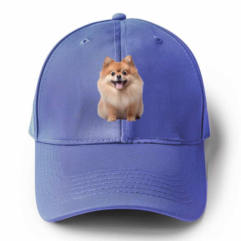 Delighted Pomeranian  Hat