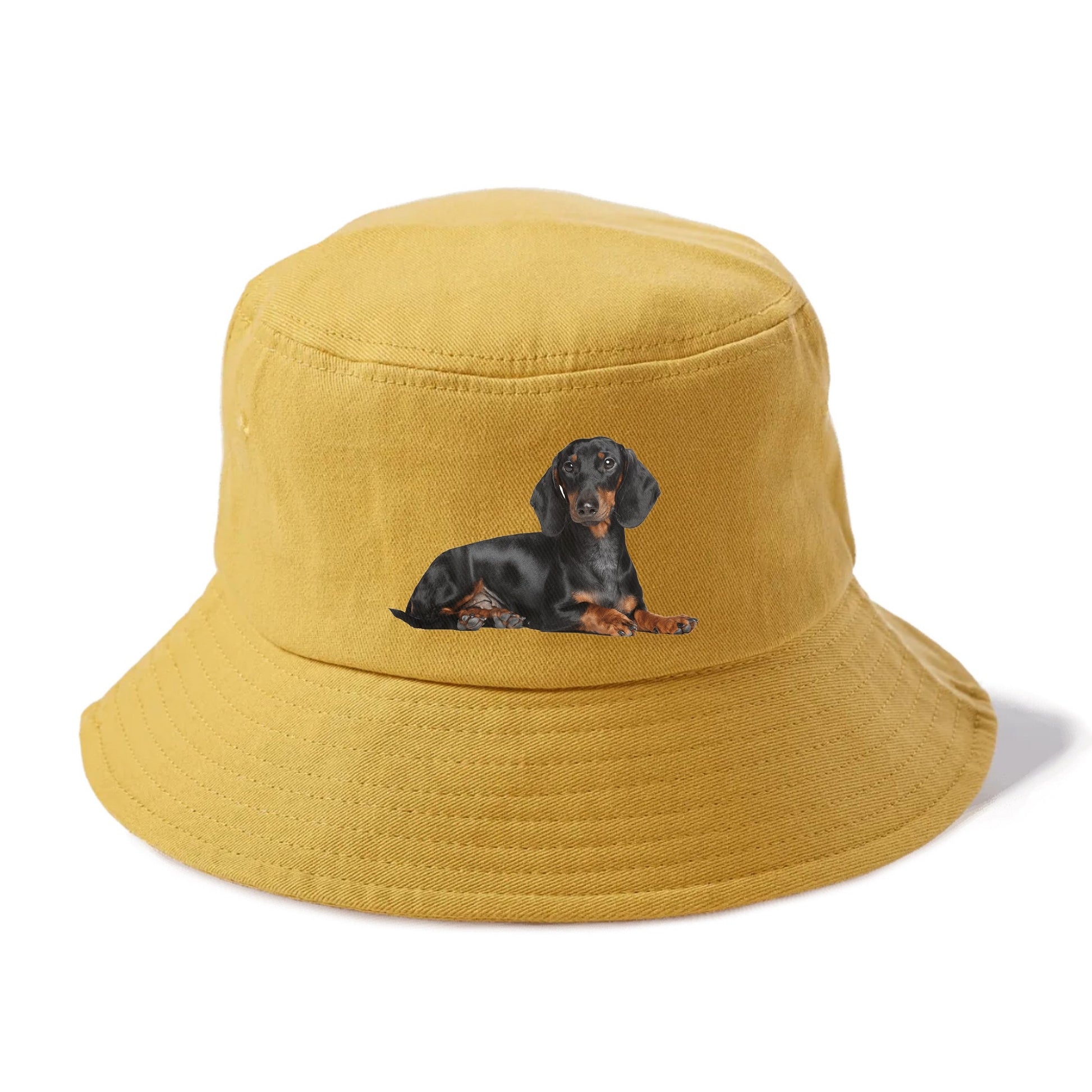 dachshund Hat