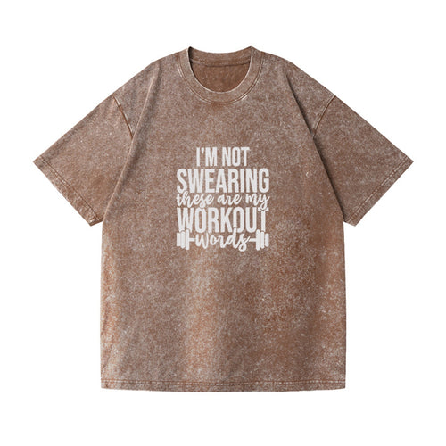 I'm Not Swearing These Are My Workout Words Vintage T-shirt