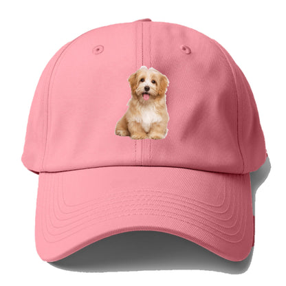 Adorable Shih Tzu Hat