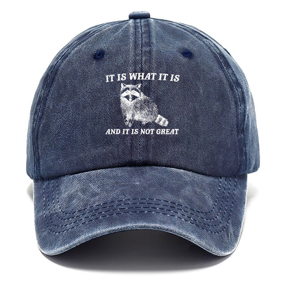 it is what it is Hat