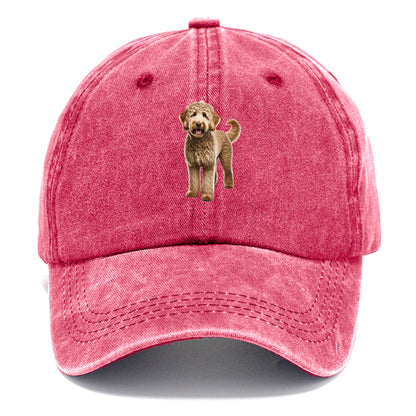Labradoodle Hat