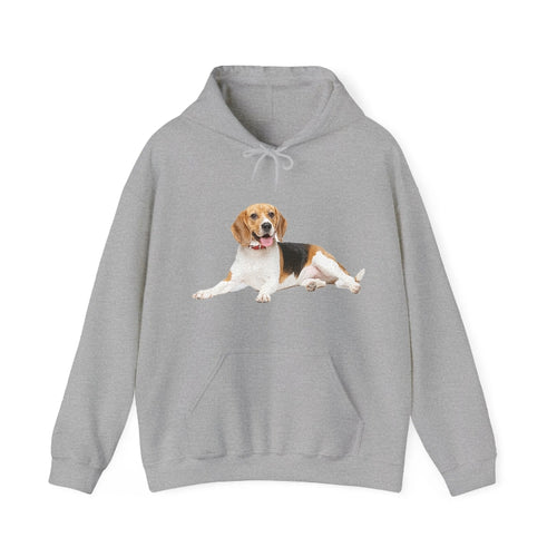 Beagle Hooded Sweatshirt