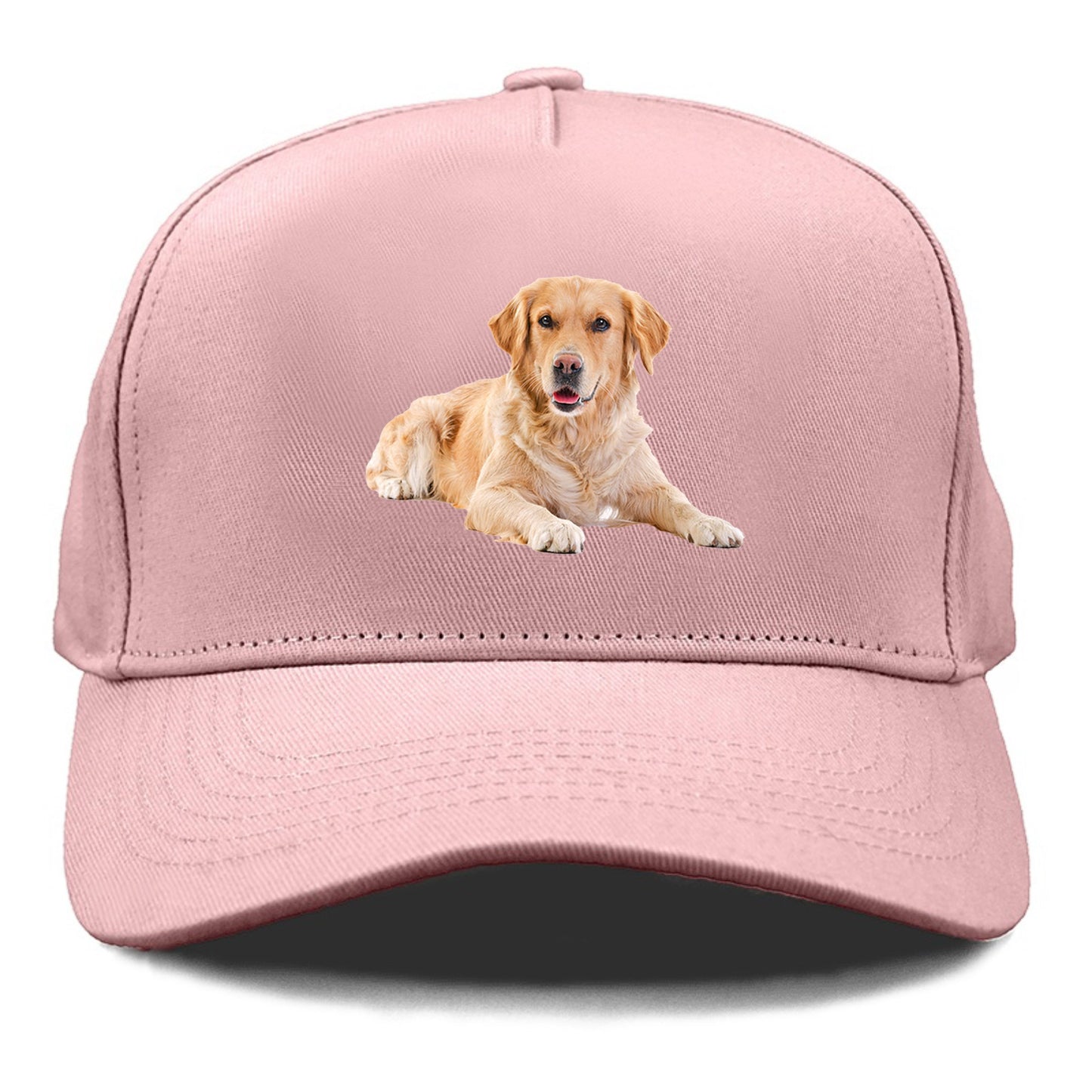 Golden Retriever laying dow Hat