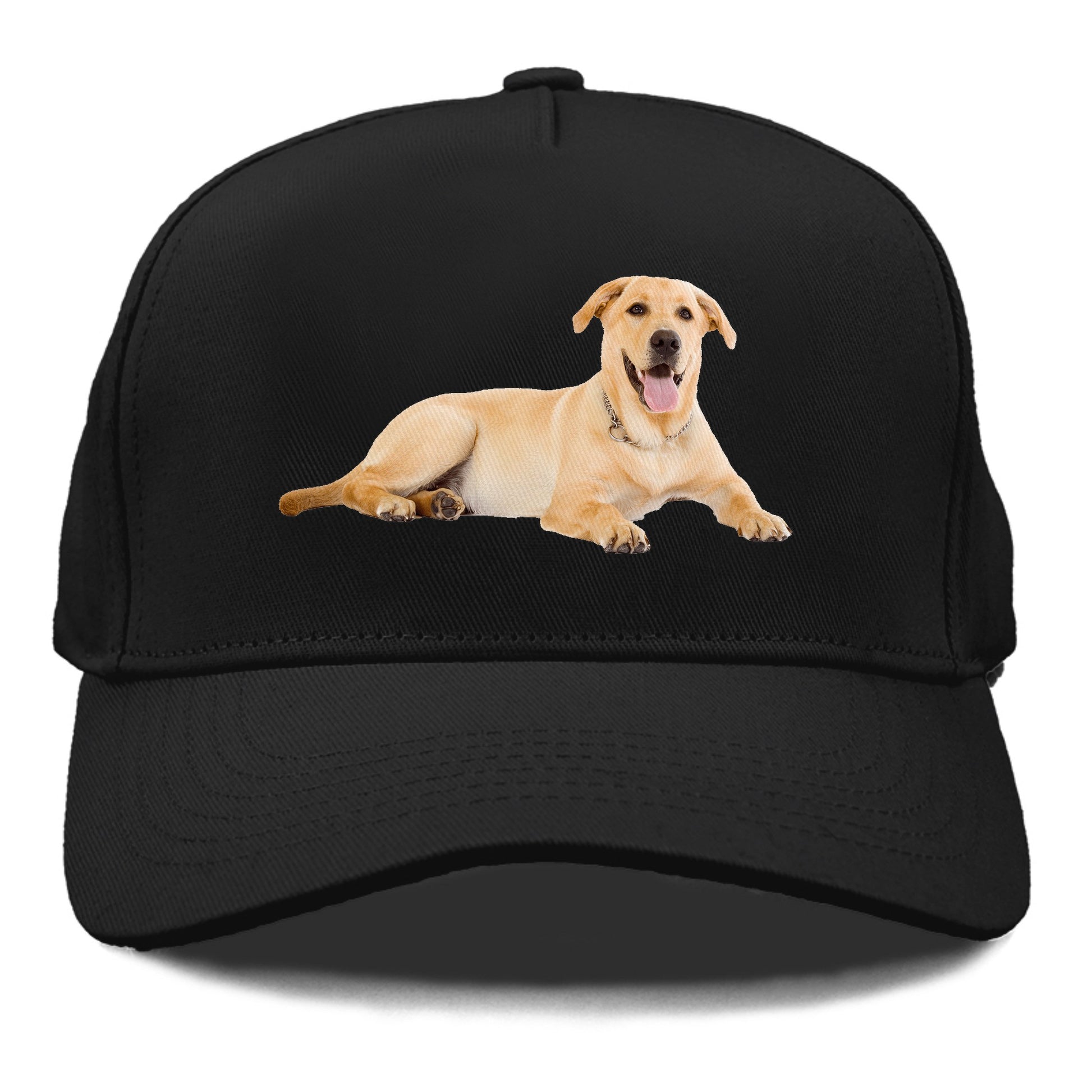 Labrador laying down Hat