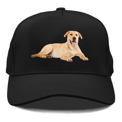 Labrador laying down Hat