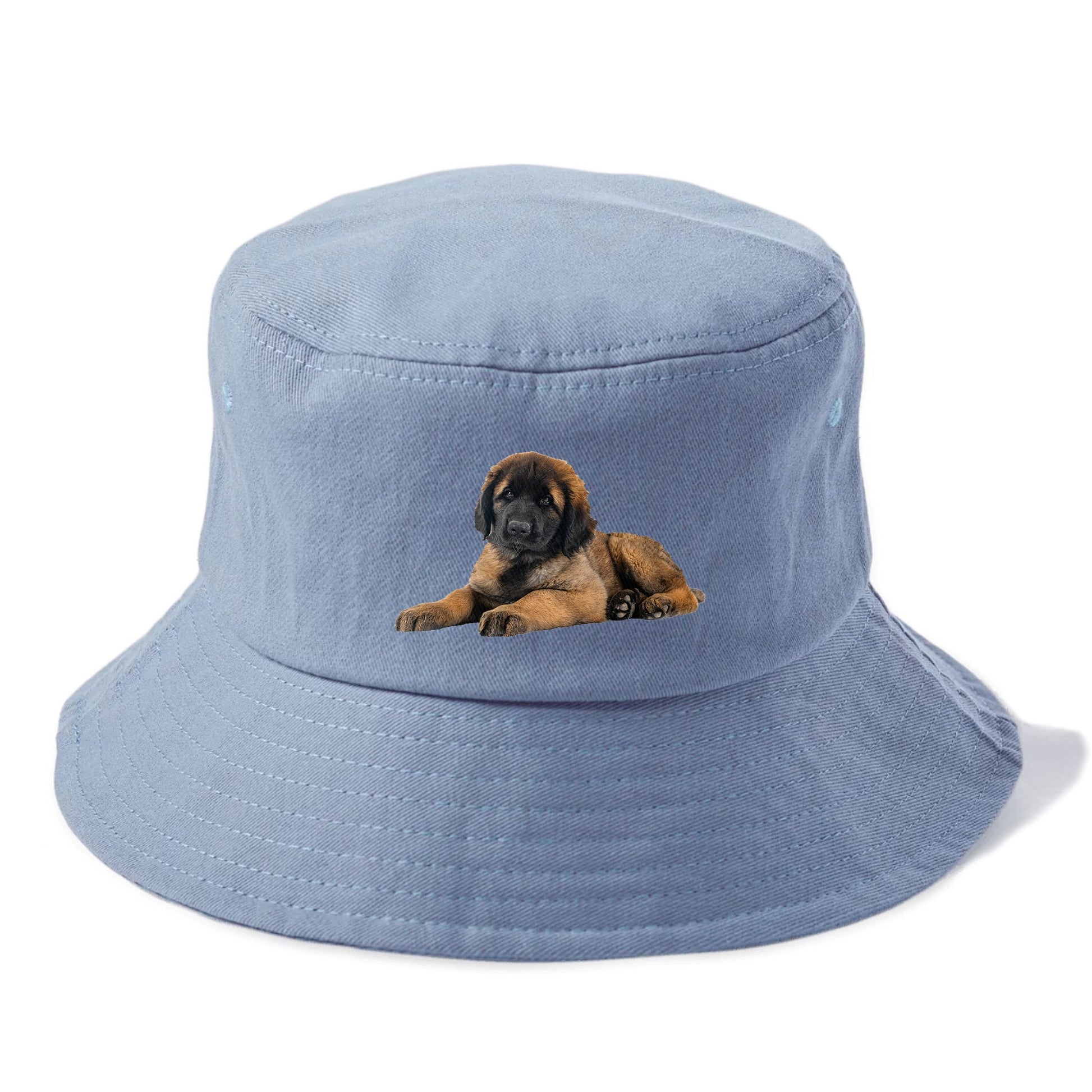 Leonberger Hat