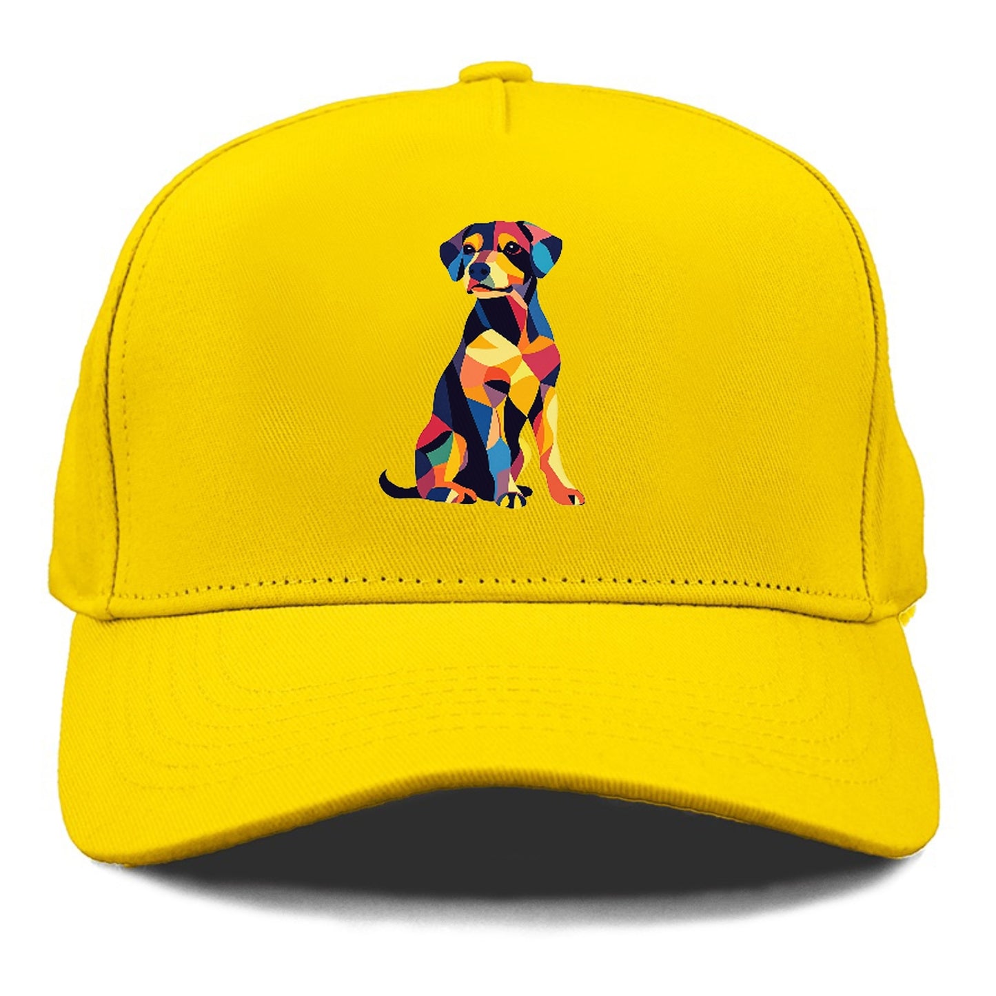 Abstract Elegance Colorful Dog Hat