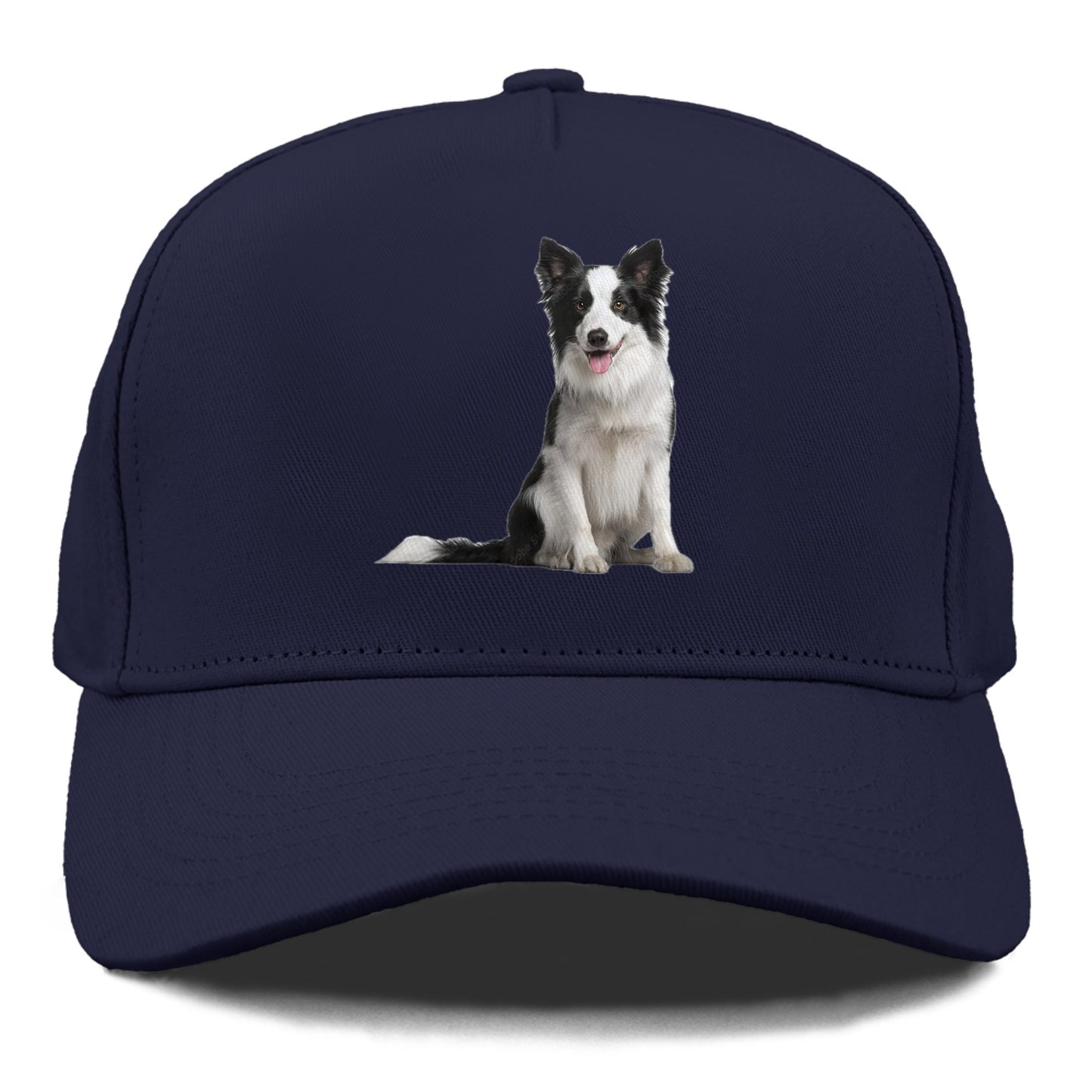 Border Collie Hat