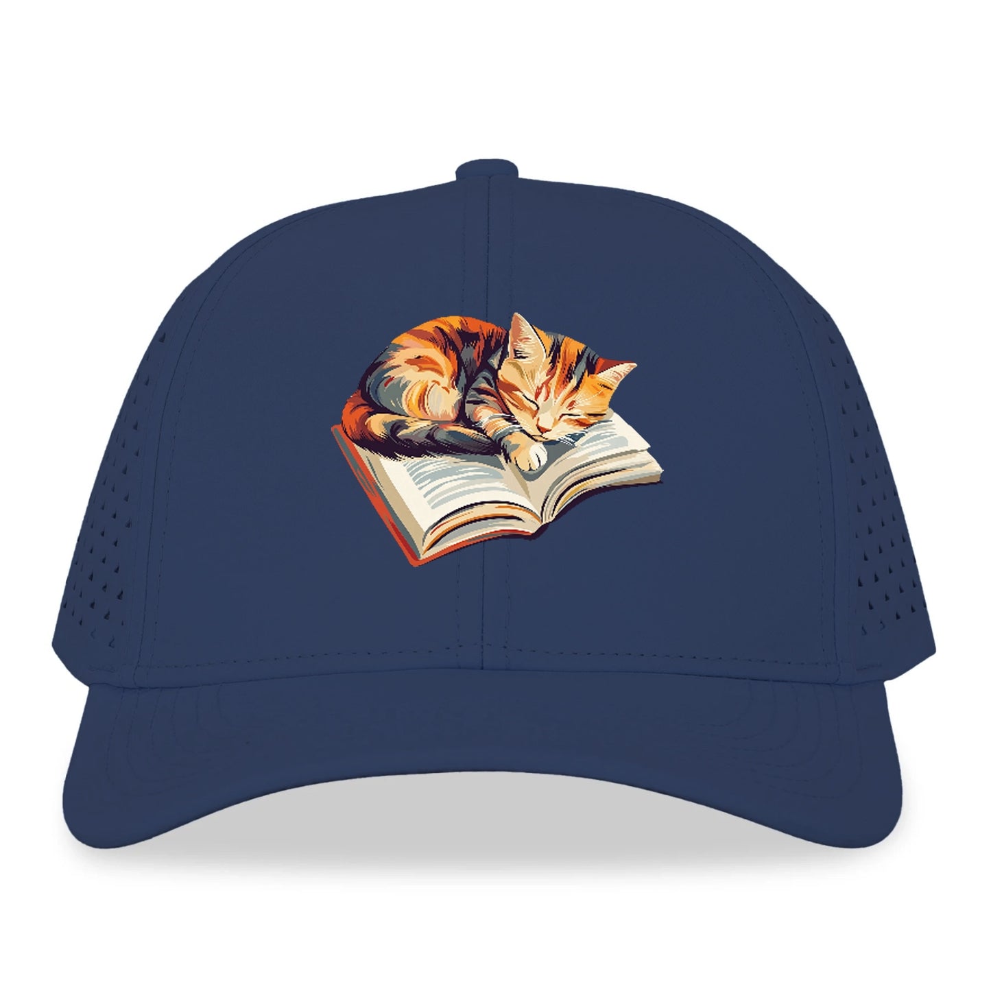 Cat Nap on Book Hat