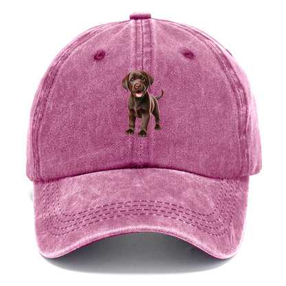 chocolate labrador Hat