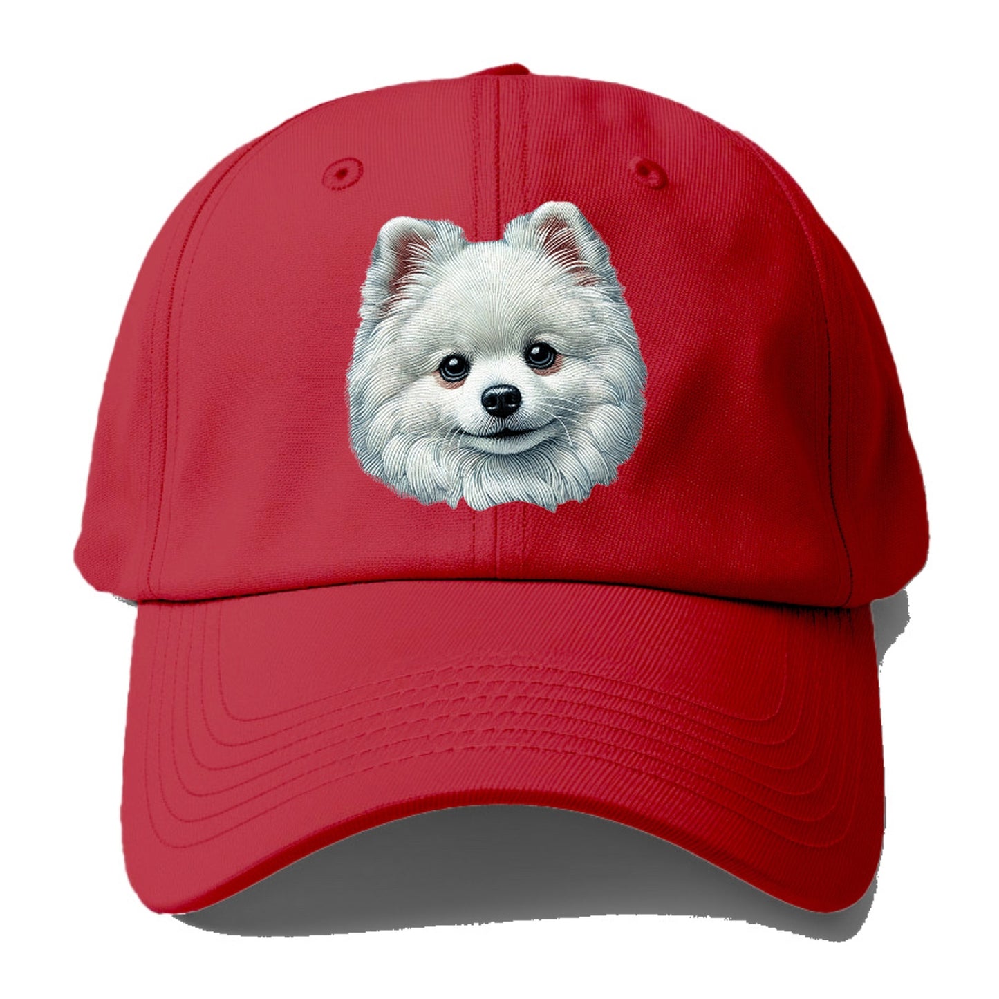 Pomeranian Hat