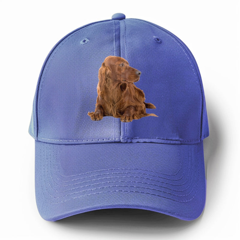 Irish Setter Hat