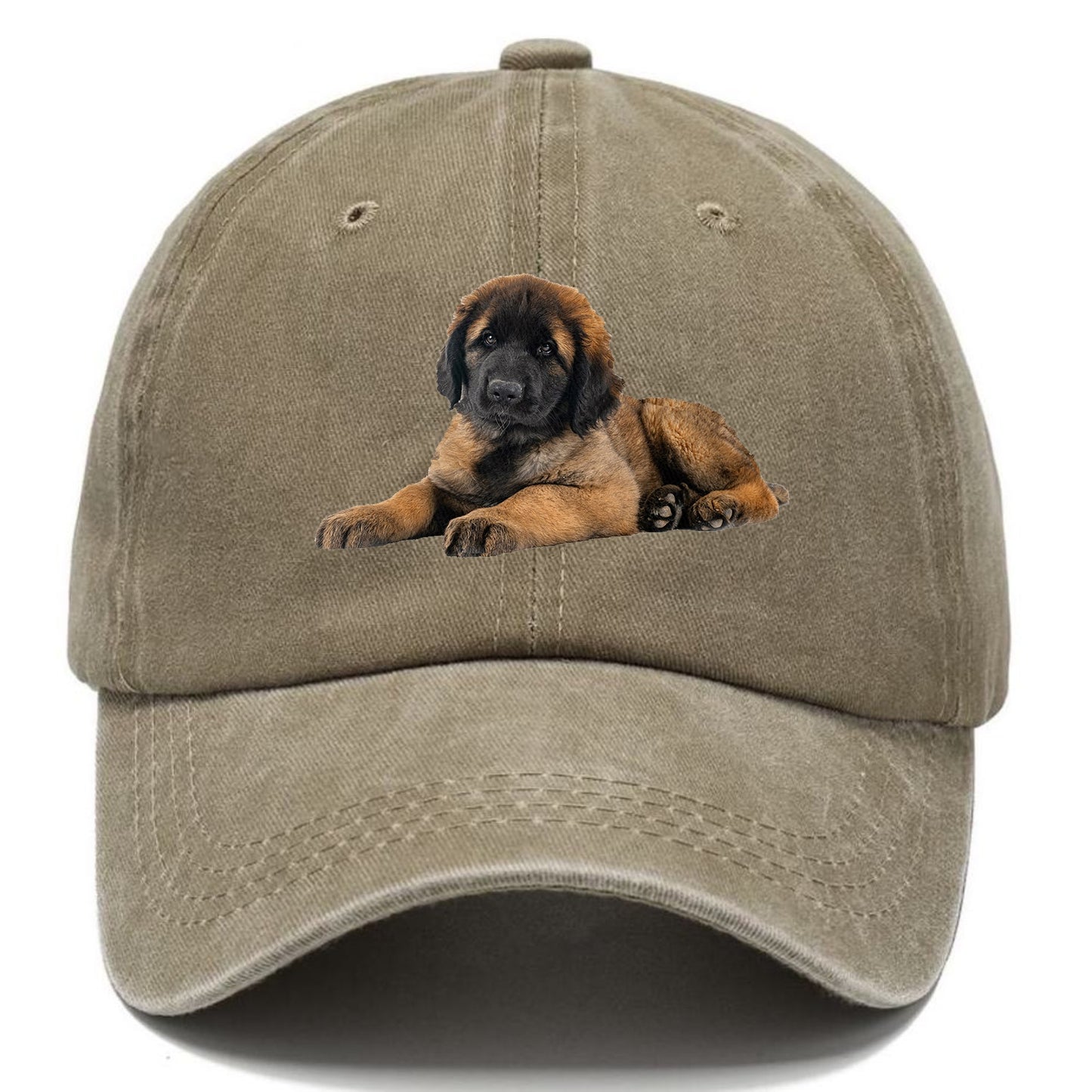 Leonberger Hat