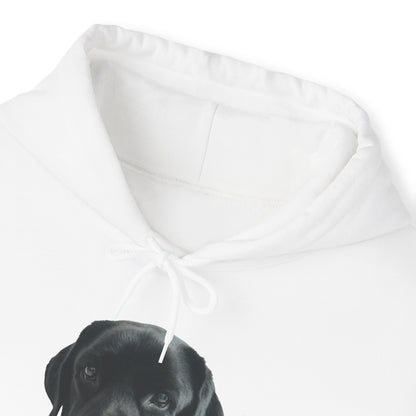 Black Labradors Hooded Sweatshirt