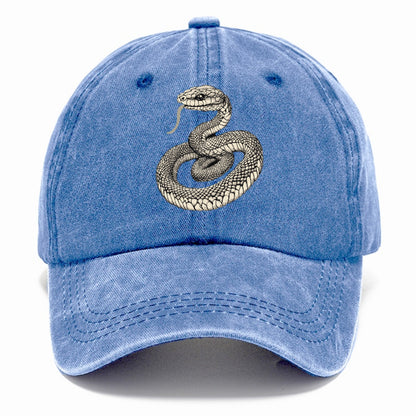 Year Of Snake Hat