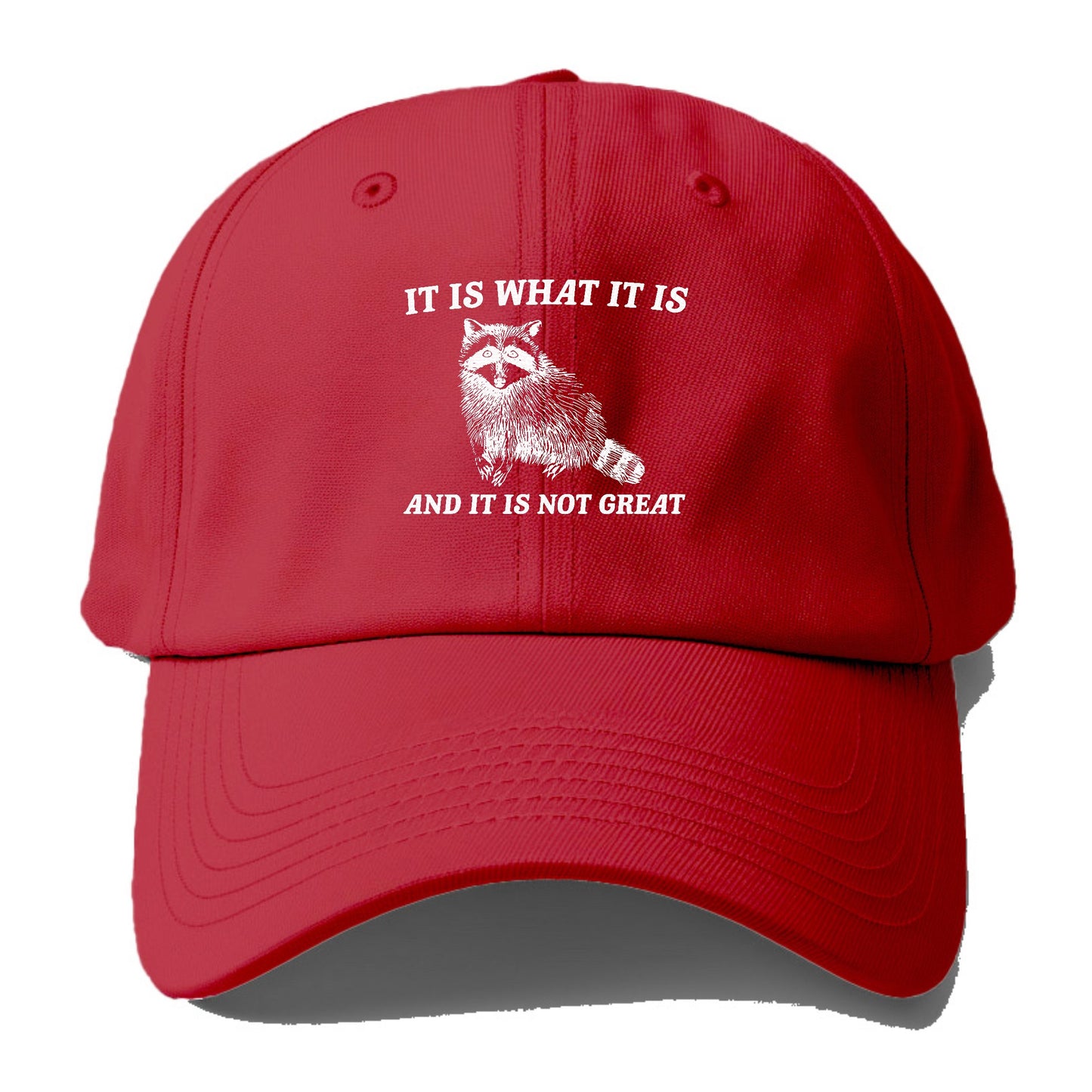 it is what it is Hat