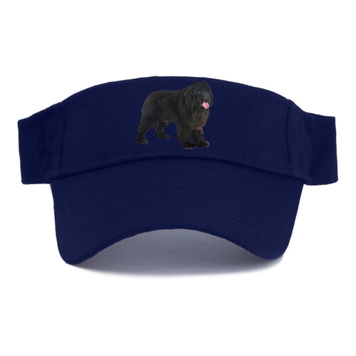 Newfoundland Visor