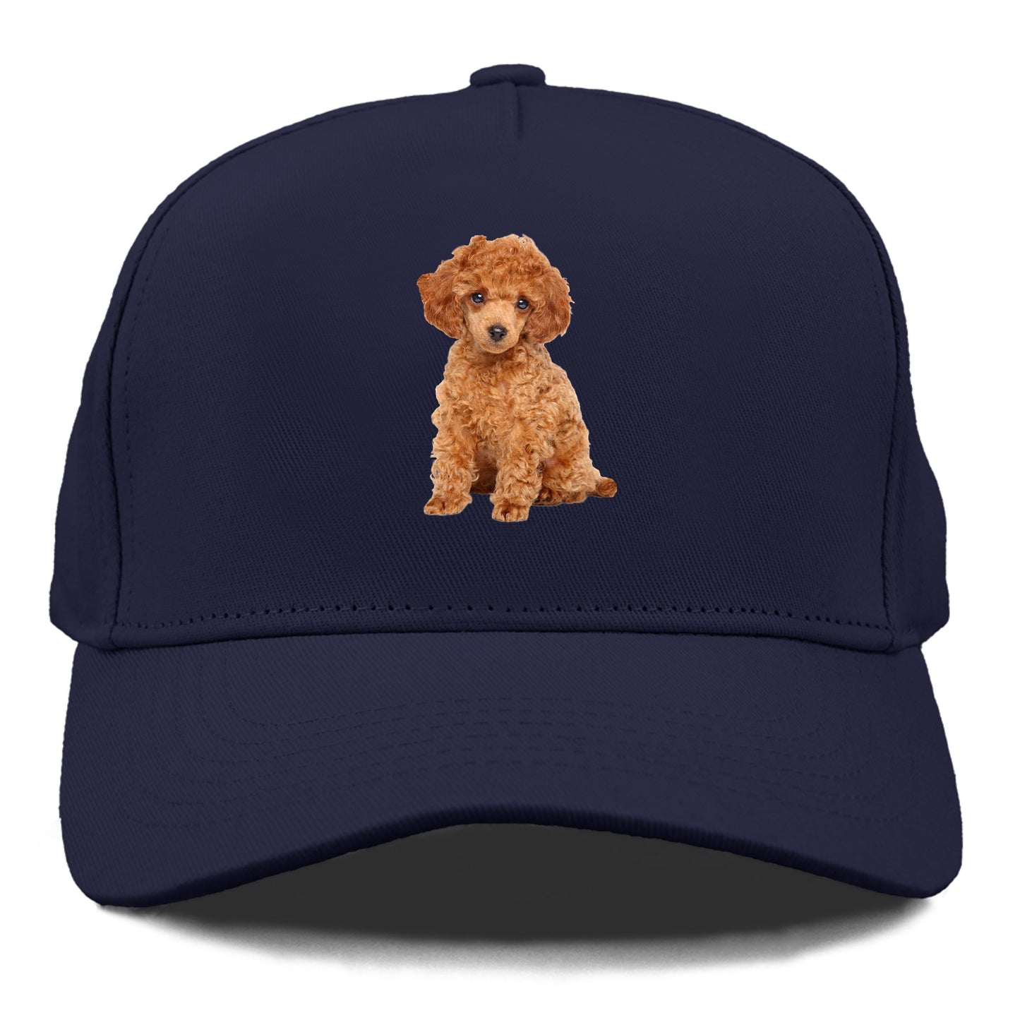 toy poodle Hat