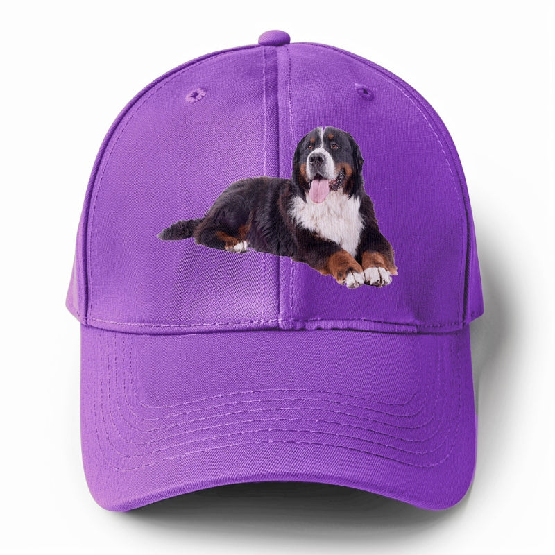 bernese mountain dog Hat