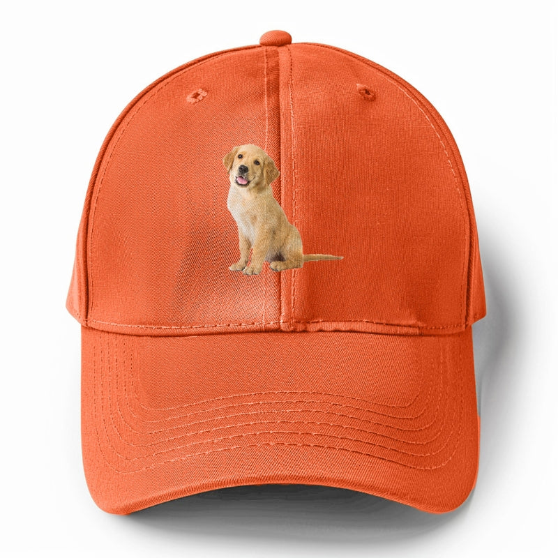 Playful golden pup with a cheerful expression Hat