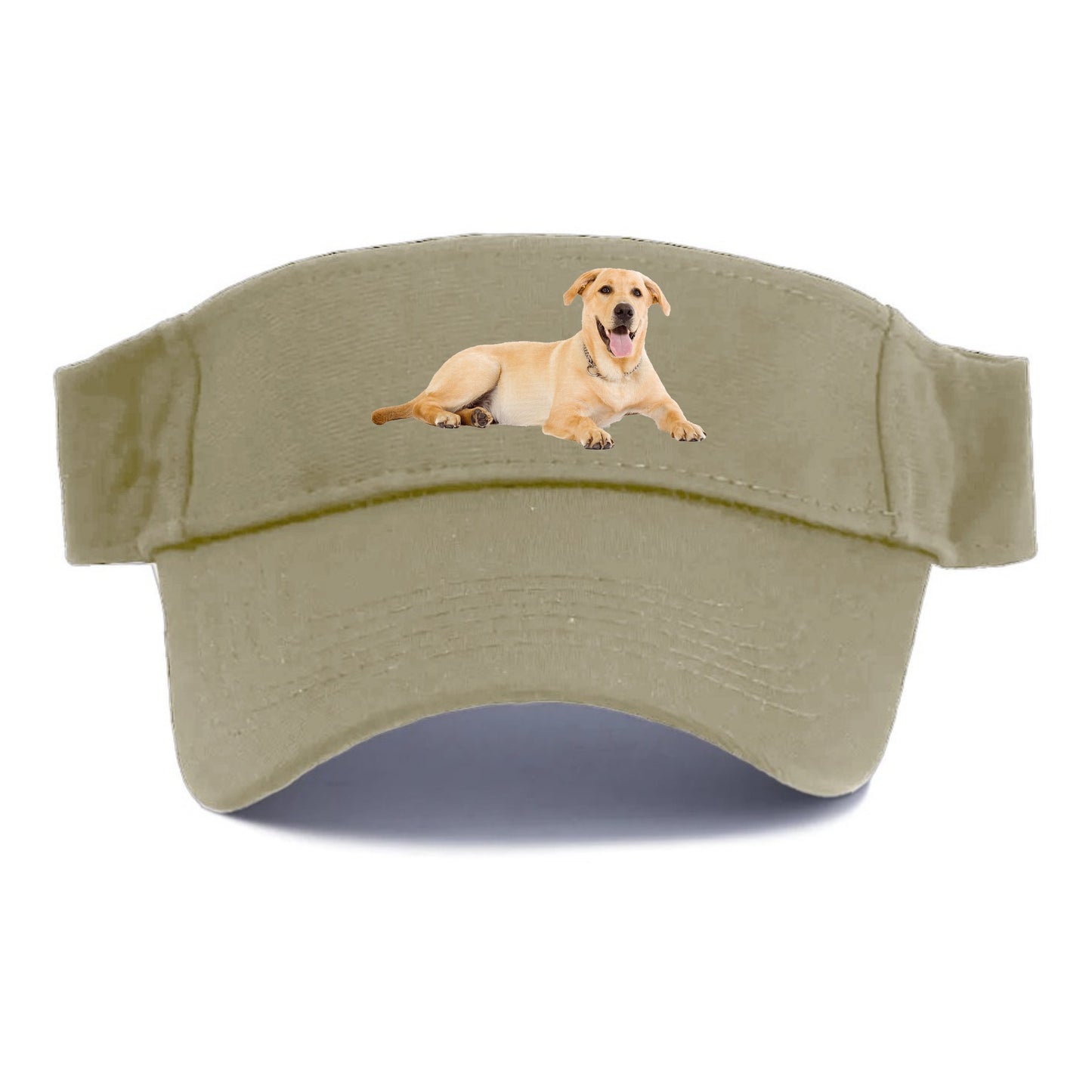 Labrador laying down Hat