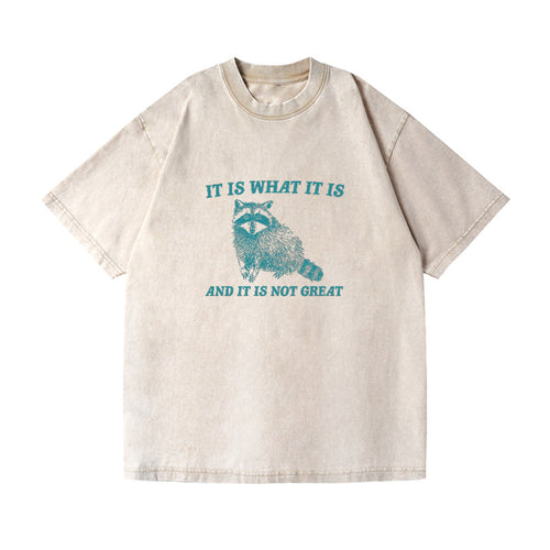 It Is What It Is Vintage T-shirt