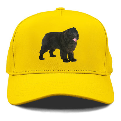 newfoundland Hat