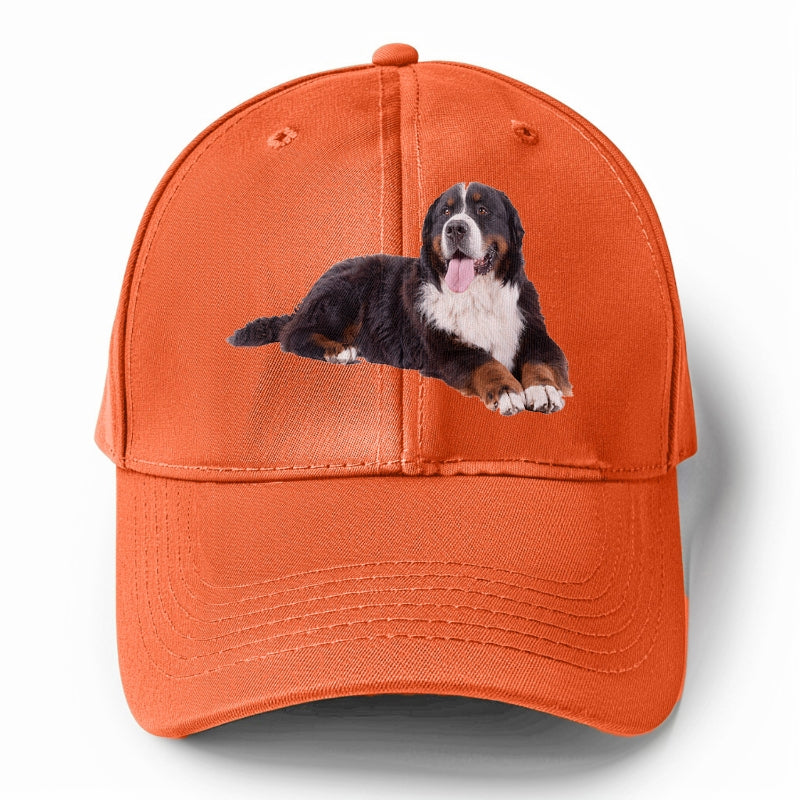 bernese mountain dog Hat