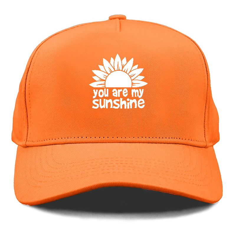 you are my sunshine Hat