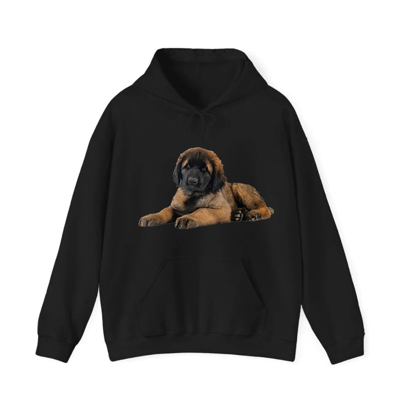 Hooked Hooded Sweatshirt