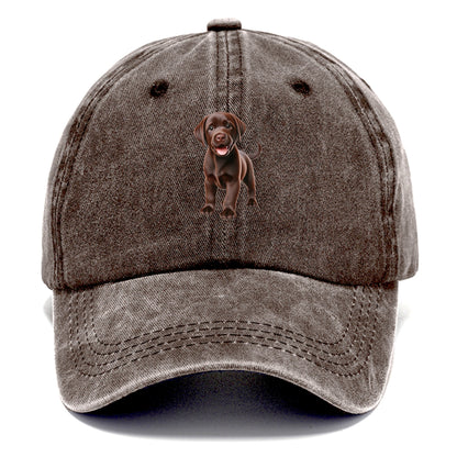 chocolate labrador Hat