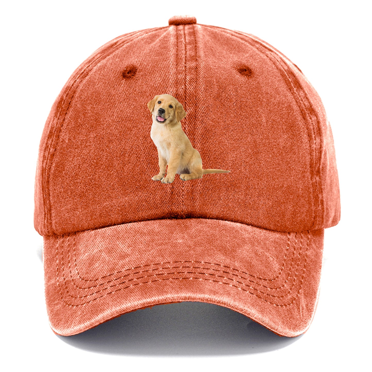 Playful golden pup with a cheerful expression Hat