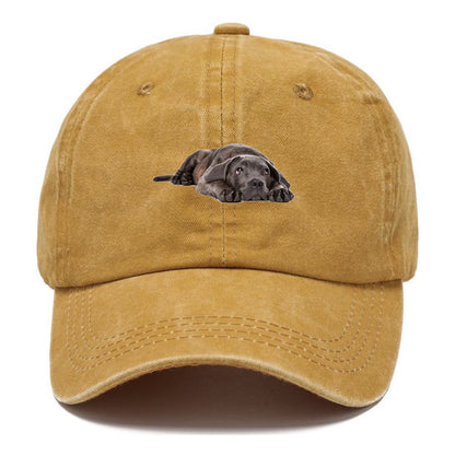 cane corso Hat