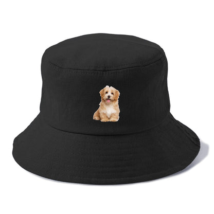 Adorable Shih Tzu Hat