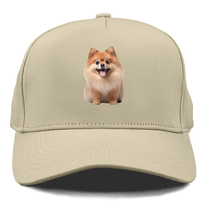 Delighted Pomeranian  Hat