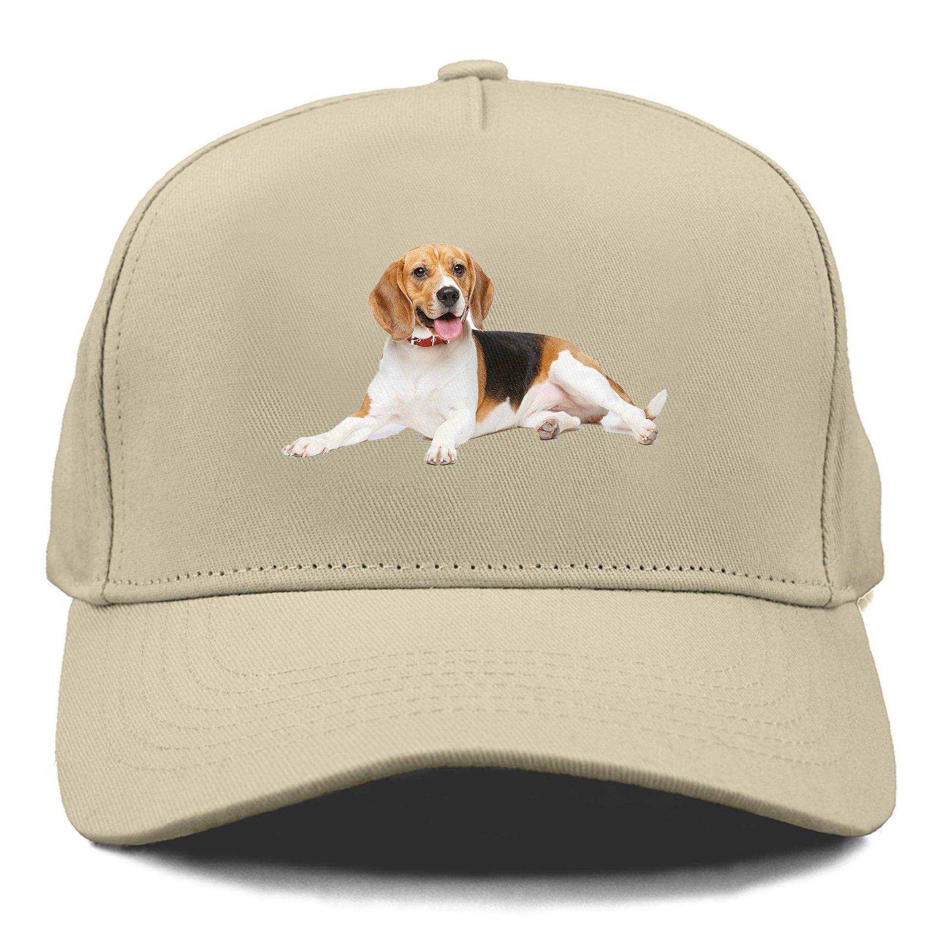 beagle Hat