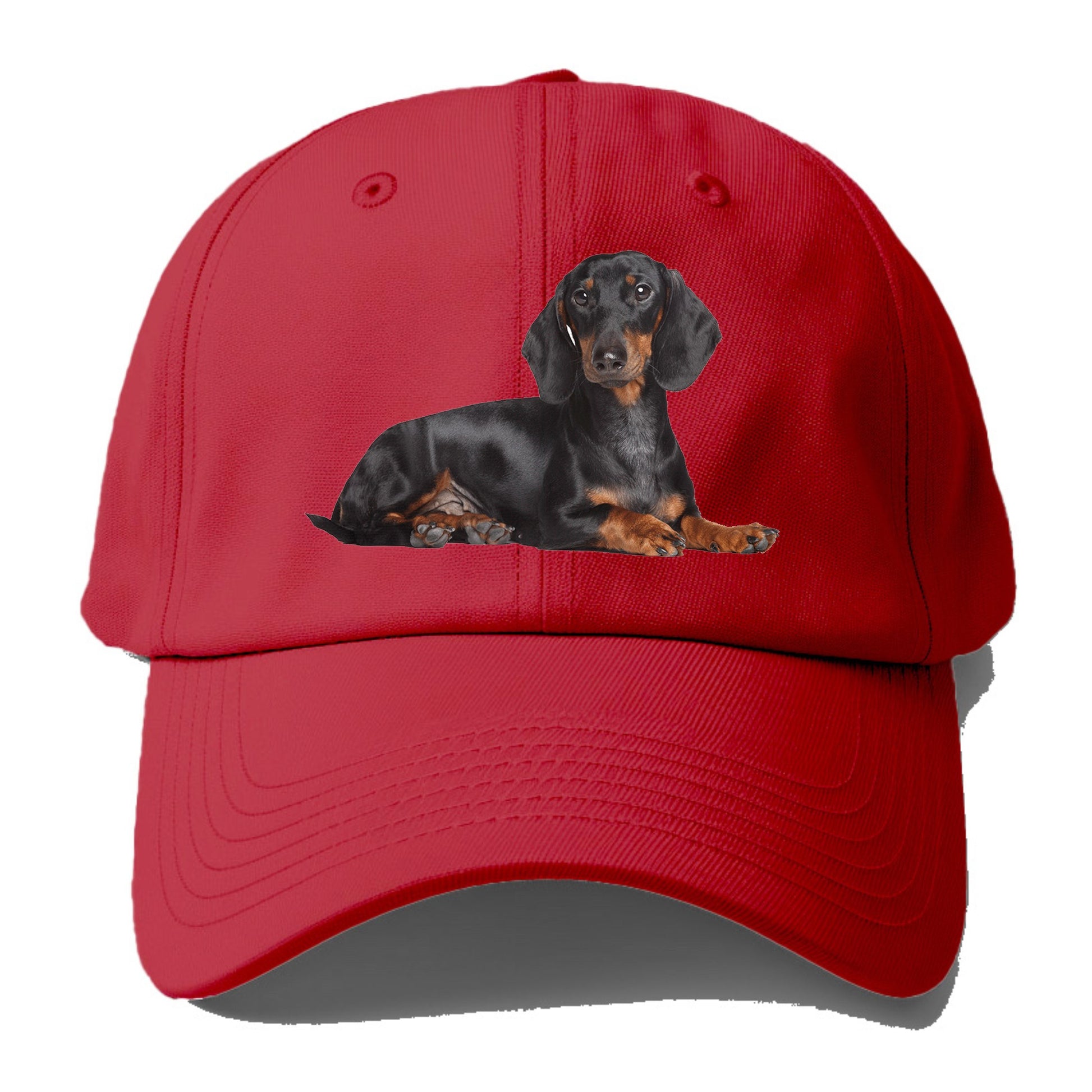 dachshund Hat