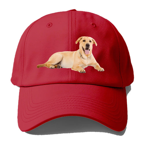 Labrador Laying Down Baseball Cap