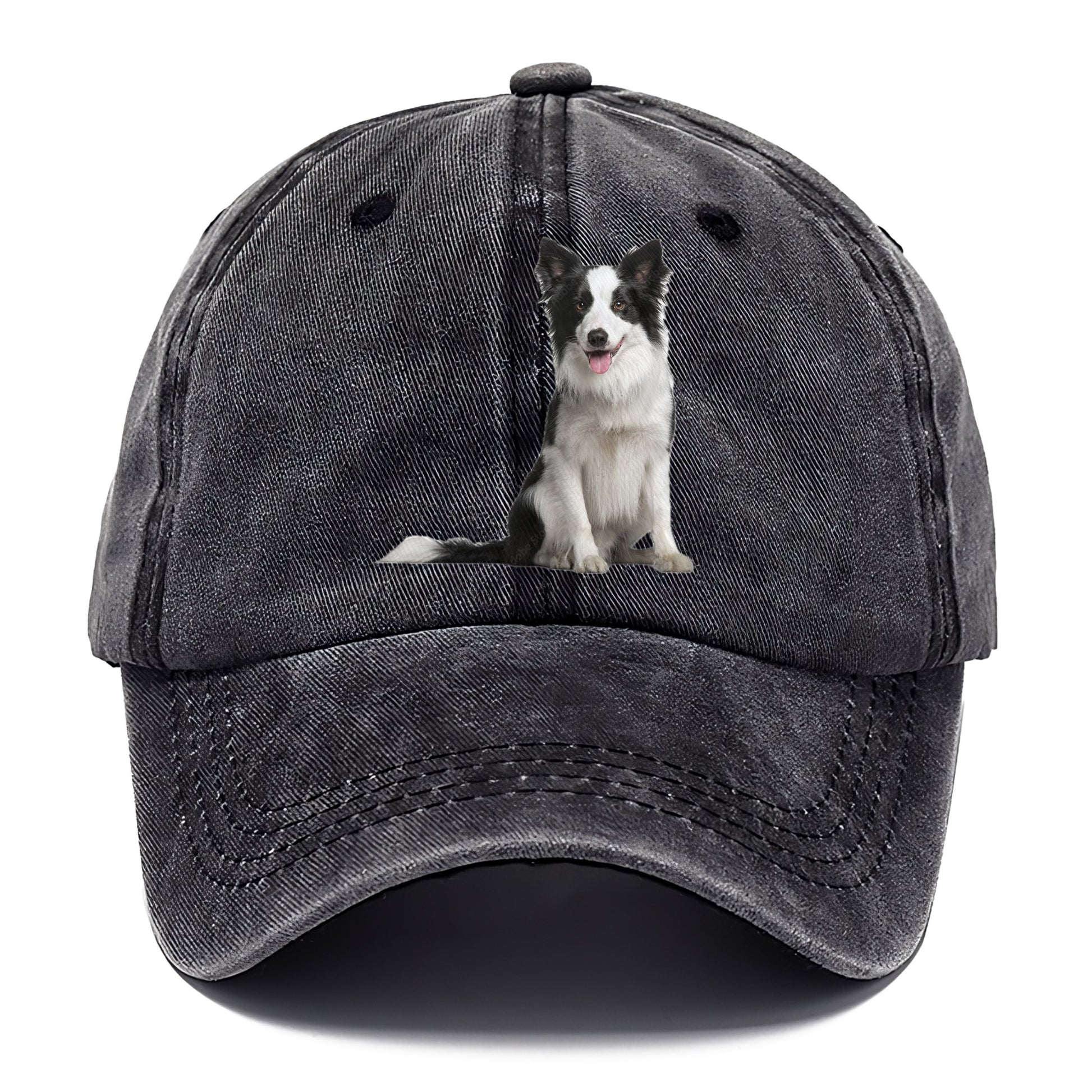 Border Collie Hat